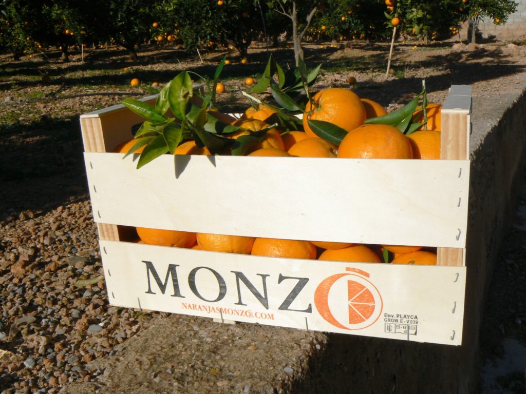 Monzó, cajas de naranjas a domicilio